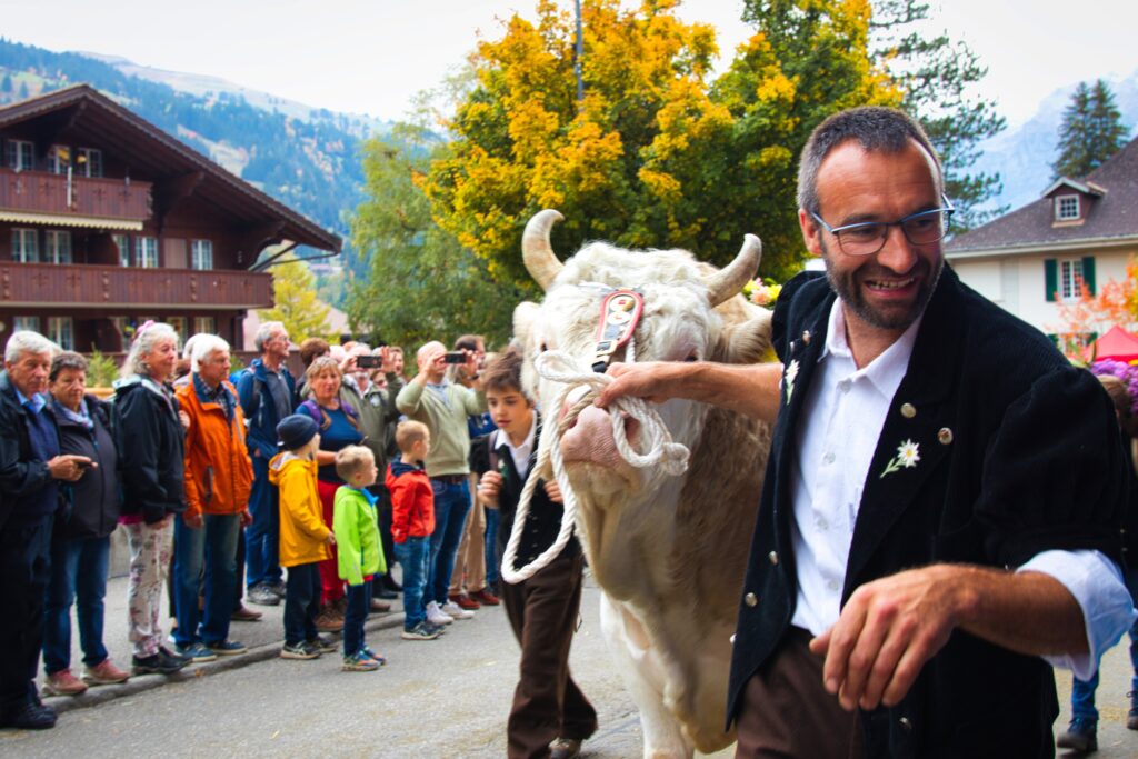 Alpine Festival