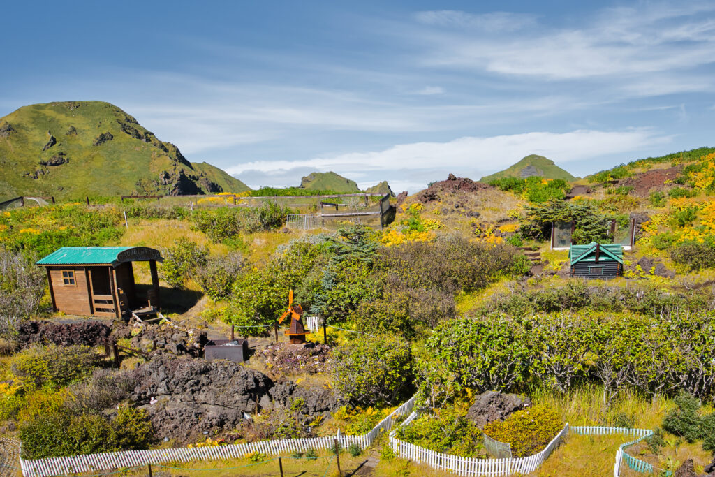 Vestmannaeyjar