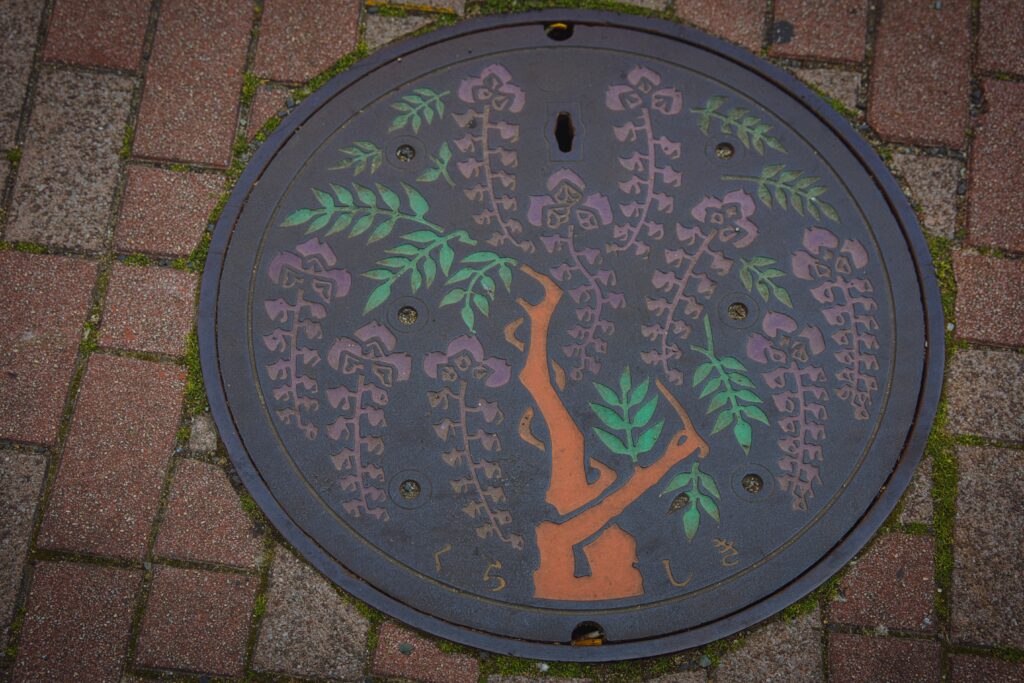 Manhole Cover (Wisteria)