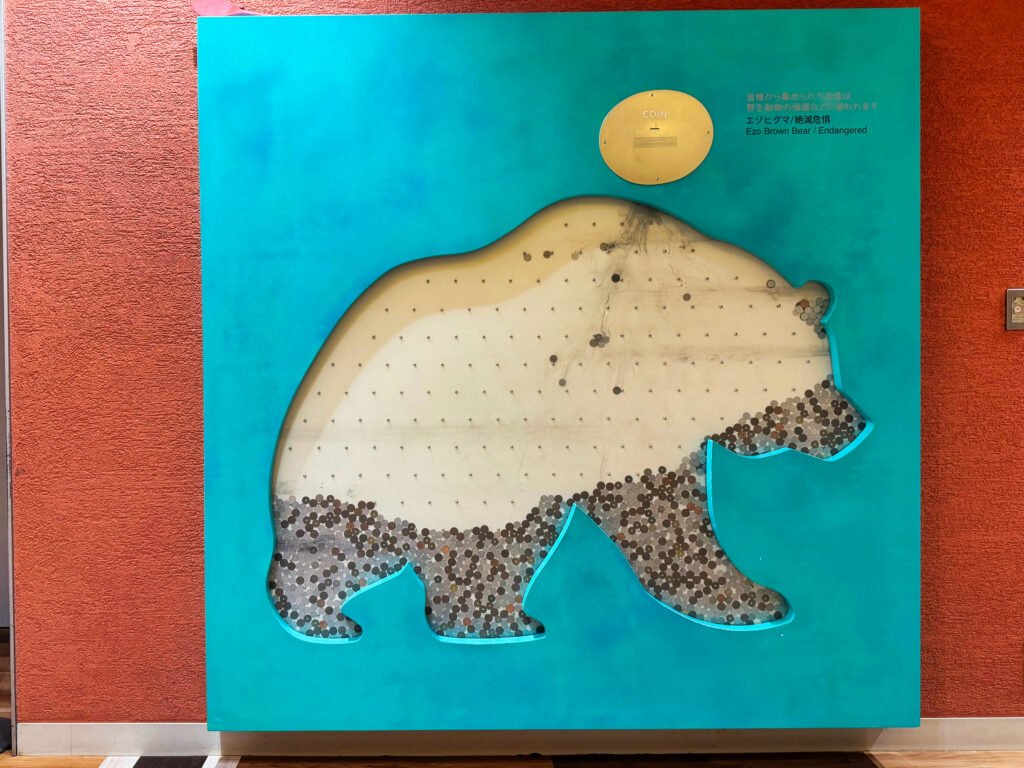 Ezo Brown Bear (Donation Installation)