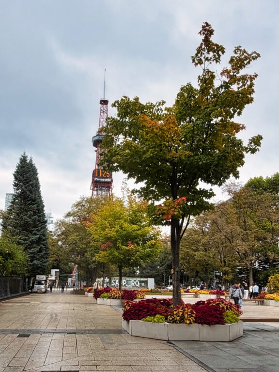 Sapporo TV Tower