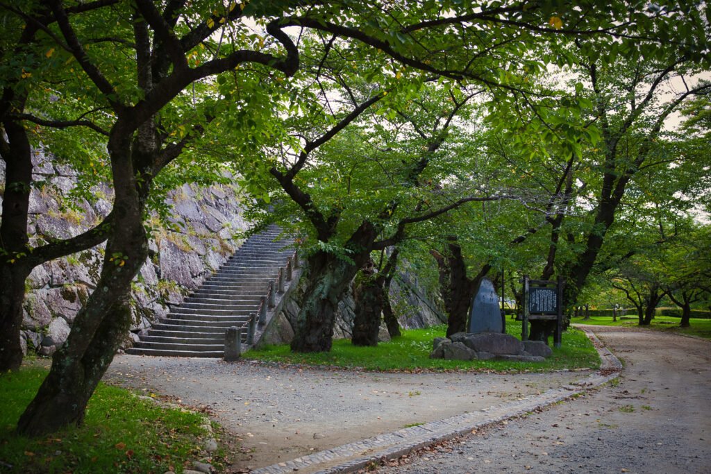 Castle Park