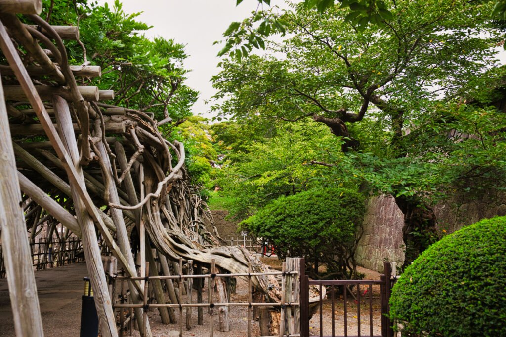 Goryokaku Park (五稜郭公園)