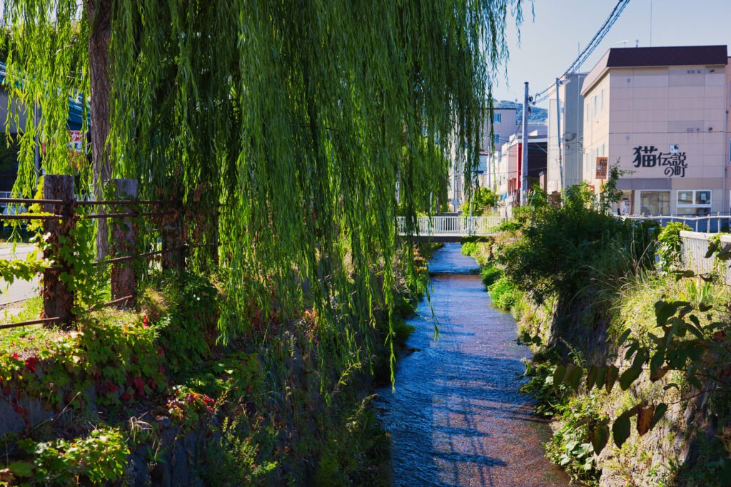 Canal