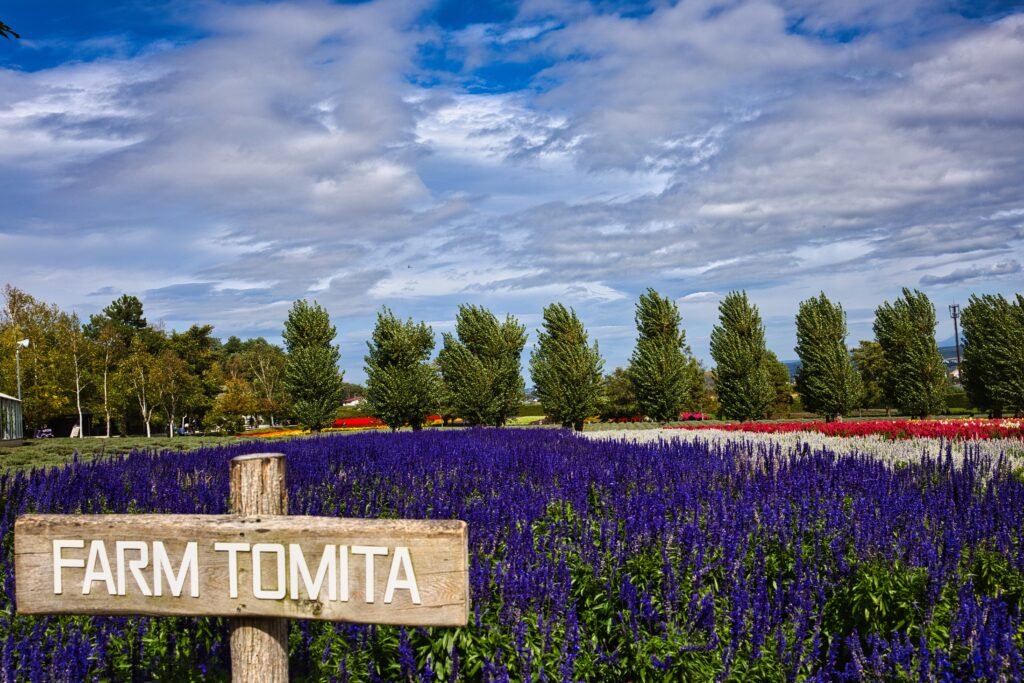 Farm Tomita
