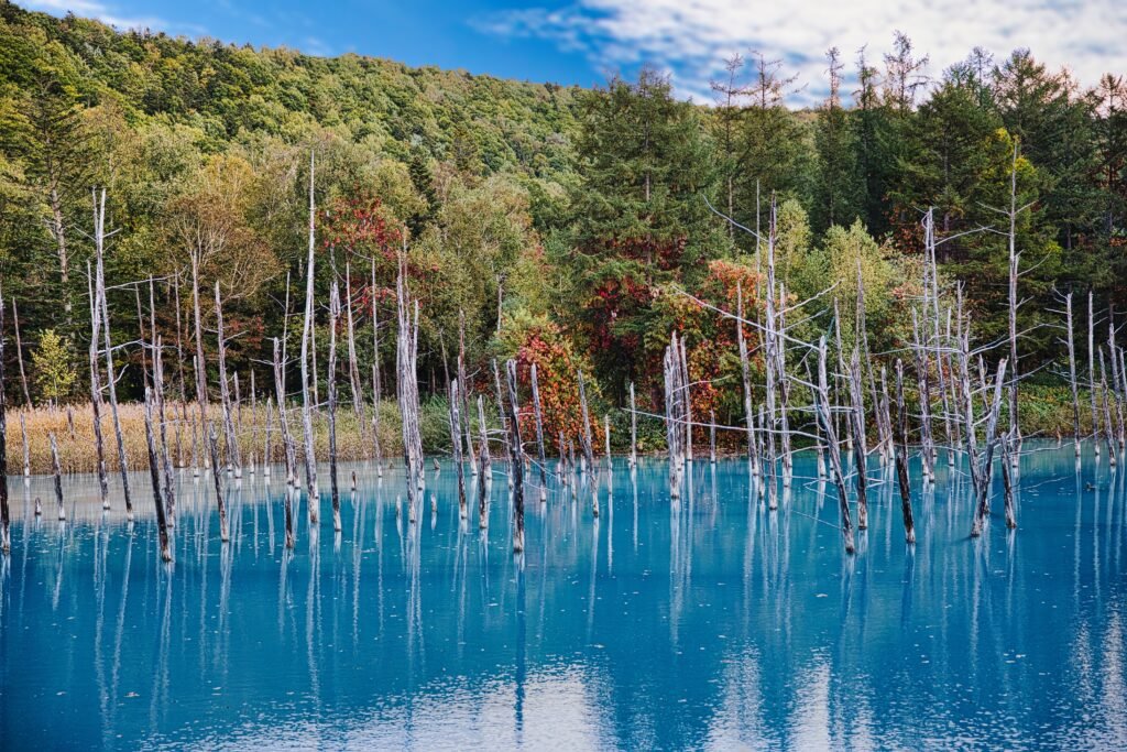 Blue Pond