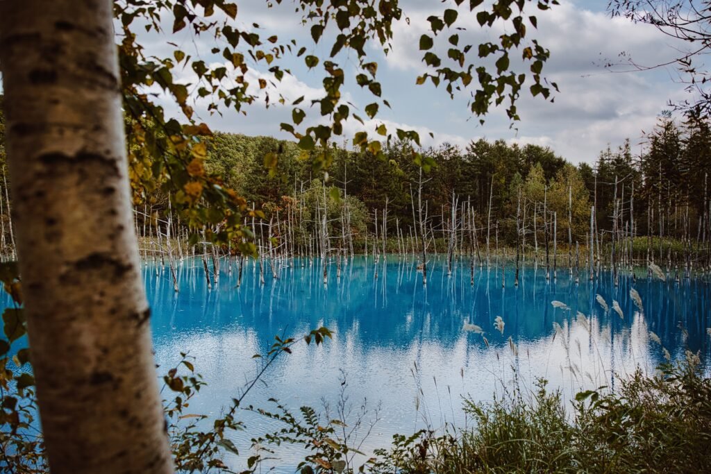 Blue Pond